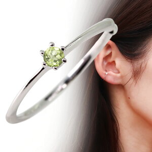 C[Jt fB[X Vv ؚ CJt v`i Ўp mz[sAX a