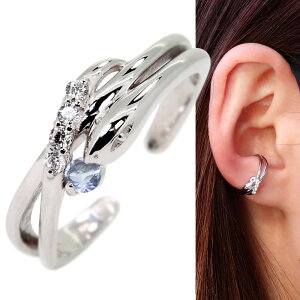 C[Jt  wr fB[X CJt Ў Vo[ ANA}T^}A mz[sAX