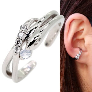 C[Jt  wr fB[X CJt Ў Vo[ Cu[[Xg[ mz[sAX