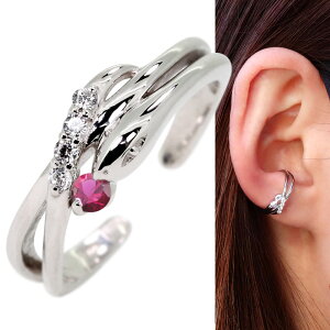 C[Jt  wr fB[X CJt Ў Vo[ r[ mz[sAX