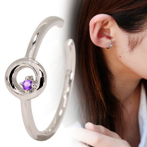 C[Jt Vo[ Ўp fB[X ؚ AWXg a CJt Vv mz[sAX