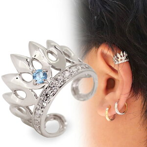 C[Jt CJt Y  NE Ўp Vo[925 u[gp[Y mz[sAX  ̓ 2024