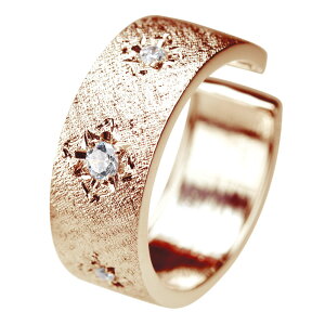 18 C[Jt Ў Y CG[S[h 18k CJt  mz[sAX Iׂa ig jp  av[g LO