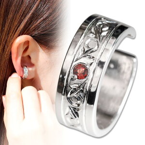 C[Jt v`i fB[X     CJt Ўp K[lbg mz[sAX d˂Â l  p