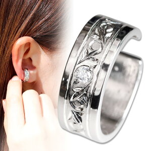 C[Jt v`i fB[X     CJt Ўp _Ch mz[sAX d˂Â l  p