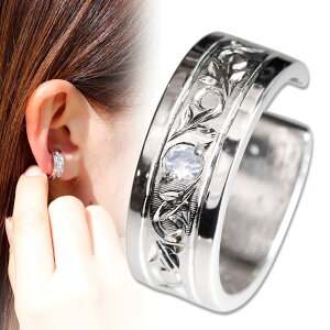 C[Jt v`i fB[X     CJt Ўp Cu[[Xg[ mz[sAX d˂Â l  p