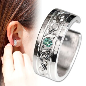 C[Jt v`i fB[X     CJt Ўp ALThCg mz[sAX d˂Â l  p