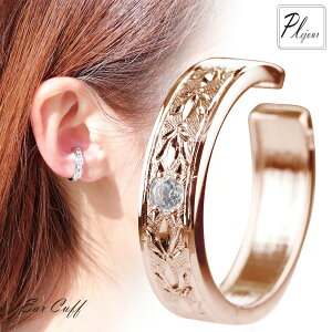 K10 _Ch C[Jt fB[X 4a Ў  CO VR 10k m d˂Â CJt  lC 