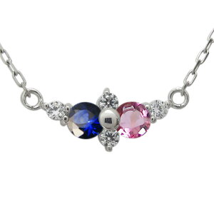 �v���`�i �V���v���l�b�N���X �T�t�@�C�A �y���_���g ���f�B�[�X �v���[���g ��̓� 2024