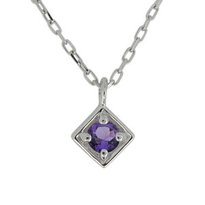 AWXg lbNX ꗱ XLWG[ v`i Vv ؚ y_g