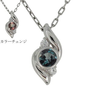 �l�b�N���X ���f�B�[�X �V���v�� �v���`�i �A���L�T���h���C�g �󏭐� ��i �y���_���g �v���[���g ��̓� 2023