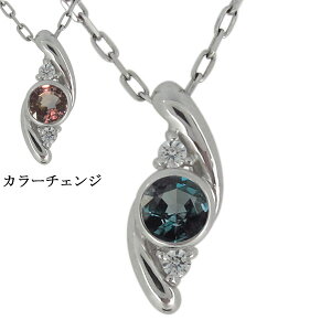 �l�b�N���X ���f�B�[�X �󏭐� �A���L�T���h���C�g �v���`�i �V���v�� ��i �y���_���g �v���[���g ��̓� 2023