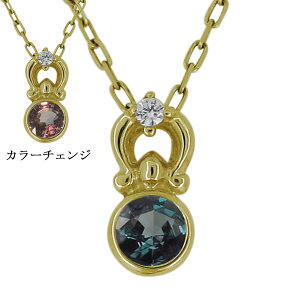 �l�b�N���X ���f�B�[�X �V���v�� �A���L�T���h���C�g �󏭐� 20�� 30�� 40�� ������� ��i �v���[���g ��̓� 2023