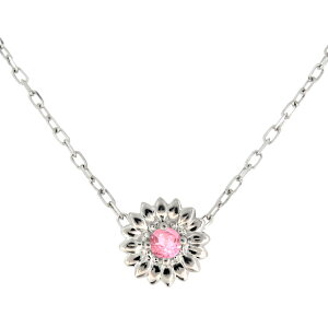 lbNX fB[X v`i ꗱ Ђ܂  sNg} y_g ؚ v[g ̓ 2024