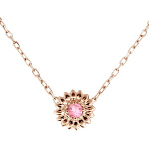 18 lbNX ꗱ sN CG[ q} sNg}lbNX  fB[Xy_g sNg} 10 a v[g ̓ 2024