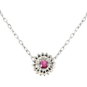 ꗱ lbNX fB[X Vo[  Ђ܂ r[ 7a y_g v[g ̓ 2024