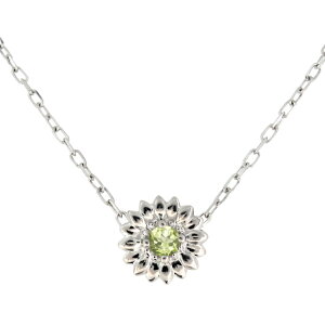 ꗱ lbNX fB[X Vo[  Ђ܂ yhbg 8a y_g v[g ̓ 2024