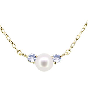 xr[ p[ lbNX fB[X Wp[ Cu[[Xg[ 10k Iׂa 10 S[h ׂ `F[ ^   @ Vv