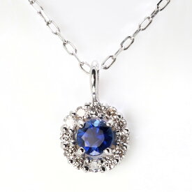 あす楽 サファイア ネックレス アレキサンドライト アウイナイト ダイヤモンド 取り巻き プラチナ 18金 ルビー レディース ペンダント プチペンダント 華奢 細い つけっぱなし 女性 ジュエリー サークル おしゃれ 大人 上品