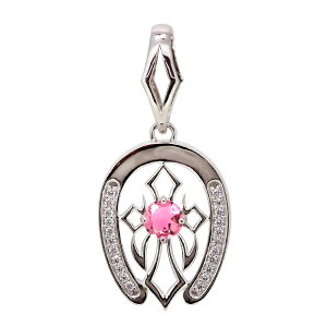 y_ggbv 약 n z[XV[ lbNX gbv̂ NX Vo[925 Y 10a 100g ̓ 2024