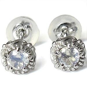 Cu[[Xg[ sAX ꗱ@AeB[N@10 fB[XO ̓ 2023