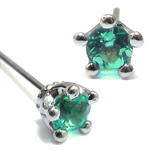 GhEVvEEYEꗱEv`iEsAX ̓ 2023