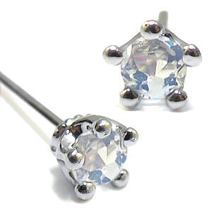 Cu[[Xg[EVvEEv`iEꗱEsAX