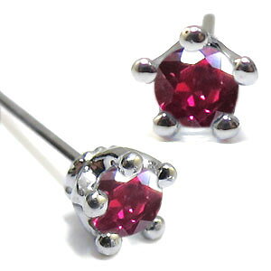 v`iEr[EVvEEYEꗱEsAX ̓ 2023