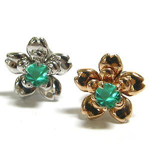 gݍ킹E3p[cEt[E`[tEGhEsAX