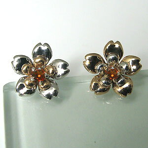 gݍ킹E3p[cEt[E`[tE2mmEK[lbgEsAX