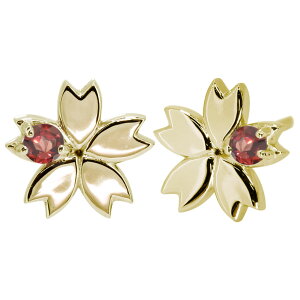 sAX fB[X lC 18S[h ԃ`[t  킢 ̓ 2024