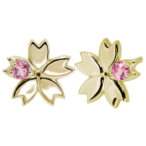 sAX fB[X lC 18S[h ԃ`[t  킢 ̓ 2024