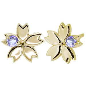 sAX fB[X lC 18S[h ԃ`[t  킢 ̓ 2024