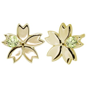 sAX fB[X lC 18S[h ԃ`[t  킢 ̓ 2024