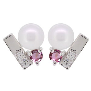 a sAX p[ fB[X l ^ p p[sAX v`i ̓ 2024