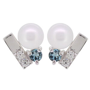 ANA}T^}A sAX p[ fB[X l ^ p p[sAX v`i ̓ 2024