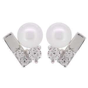 _Ch sAX p[ fB[X l ^ p p[sAX v`i ̓ 2024