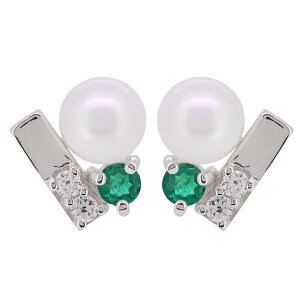 Gh sAX p[ fB[X l ^ p p[sAX v`i ̓ 2024