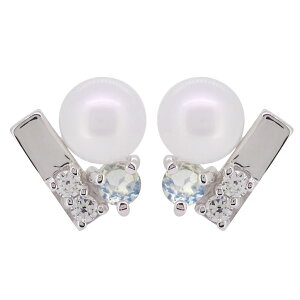 Cu[[Xg[ sAX p[ fB[X l ^ p p[sAX v`i ̓ 2024