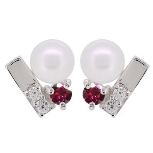 r[ sAX p[ fB[X l ^ p p[sAX v`i ̓ 2024