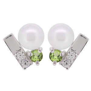 yhbg sAX p[ fB[X l ^ p p[sAX v`i ̓ 2024