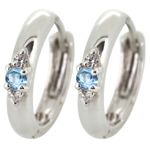 sAX u[gp[Y  Ԃ t[vsAX fB[X Vv v`i lC