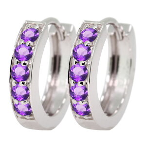 sAX t[vsAX fB[X AWXg ܂ Ԃ Vo[ Iׂa 