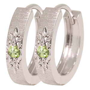 sAX t[vsAX fB[X Vo[  yhbg Ԃ a p m