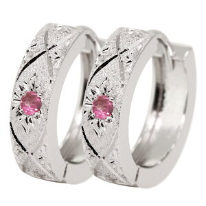 t[vsAX  v`i fB[X 2Zbg ܂ꎮ Iׂa sAX Lb`X AM[Ή