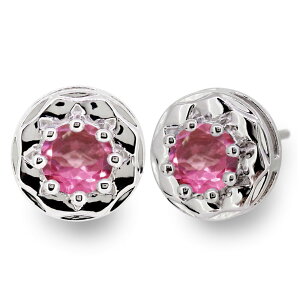 sAX fB[X Vo[ ꗱ sNg}  X^bhsAX 10a i 