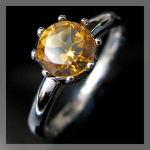 �V�g�����E�����O�E���q�̉����EK10�E�N���E���E�w�ցE�嗱�E��6mm