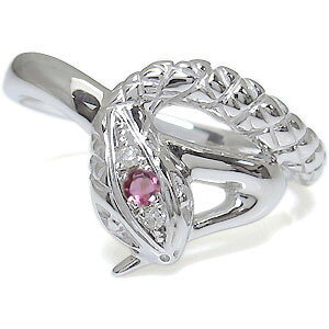 �����Y�E�s���N�g���}�����E�����O�E�v���`�i�E�X�l�[�N�E�w�ցE�� ���̓� 2023