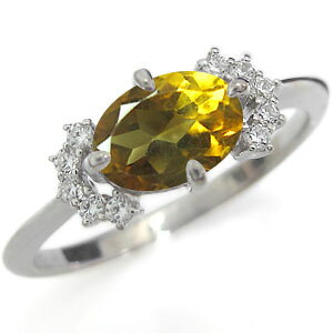 �v���`�i �w�� �V�g���� �w�� �V�g���������O