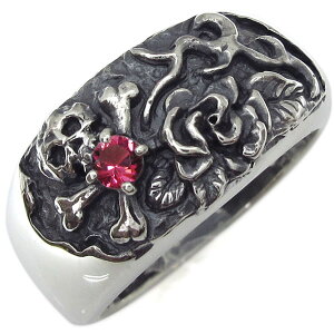 XJ hN r[ Vo[O [ w Y ̓ 2024